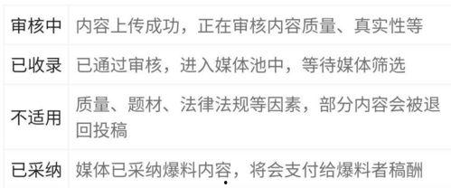 爆料新闻已收录怎么办,独家解析已收录事件背后的真相  第1张