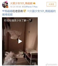 最新老鼠爆料视频下载大全,下载大全汇总  第2张