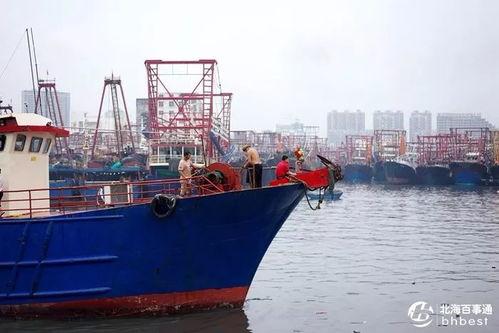 爆料渔船视频大全下载安装,视频大全带你领略海上捕捞世界  第2张